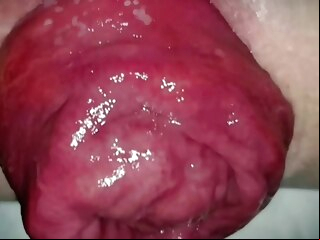 ANAL COMPILATION VOL. 2 amateur porn big ass porn masturbation porn